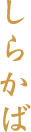 しらかば